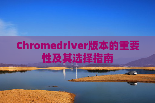 Chromedriver版本的重要性及其选择指南